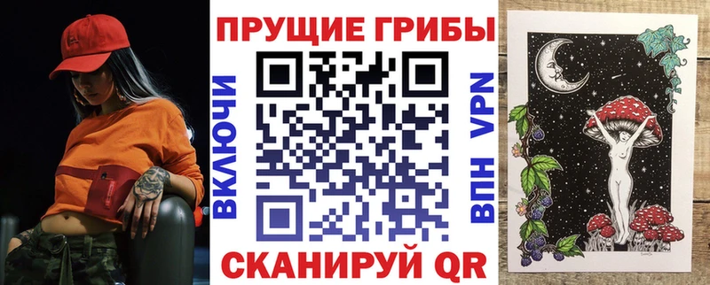 Псилоцибиновые грибы прущие грибы  купить наркоту  кракен   Амурск 